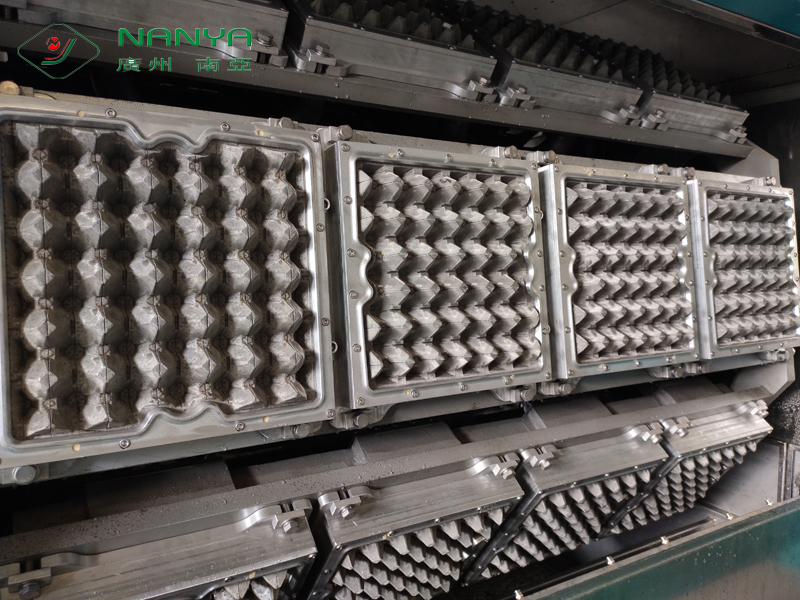 Acuan Dulang Telur Pengacuan Pulpa 30 Rongga