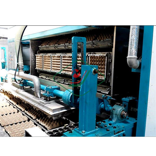 AUTO EGG TRAY EQUIPMENT