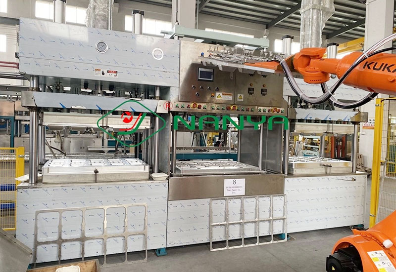 Full Automatic Pulp Molding Equipment with Robot Arm-02 (2)