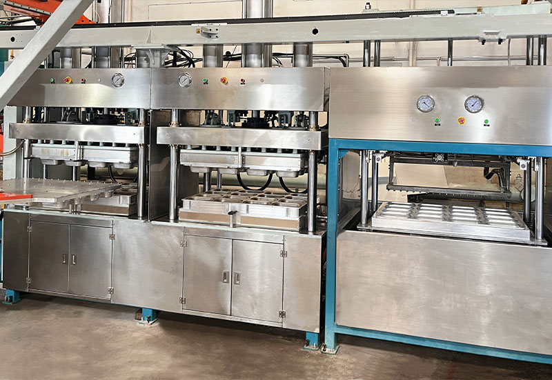 Full Automatic Pulp Molding Equipment with Robot Arm-02 (3)