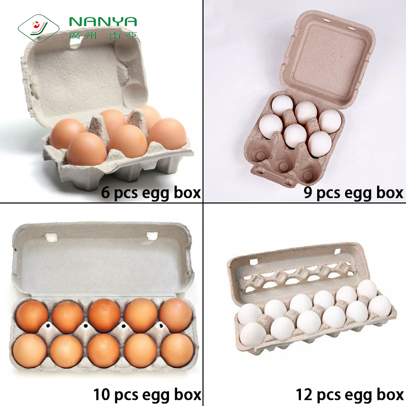 Guangzhou Nanya Egg Box-1