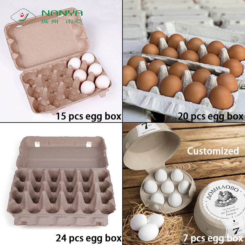 Guangzhou Nanya Egg Box-2