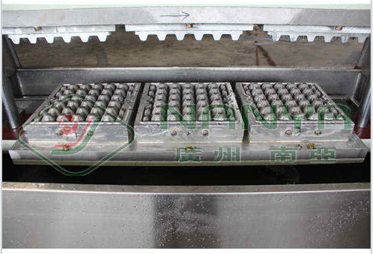 Semi automatic Paper Pulp Egg Tray Making Machine-03