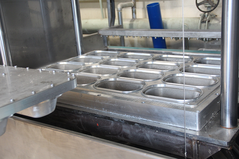 biodegradable food container machine