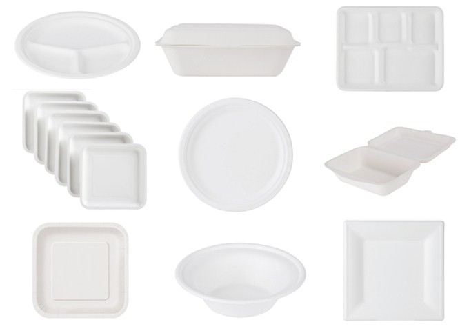 paper pulp dish