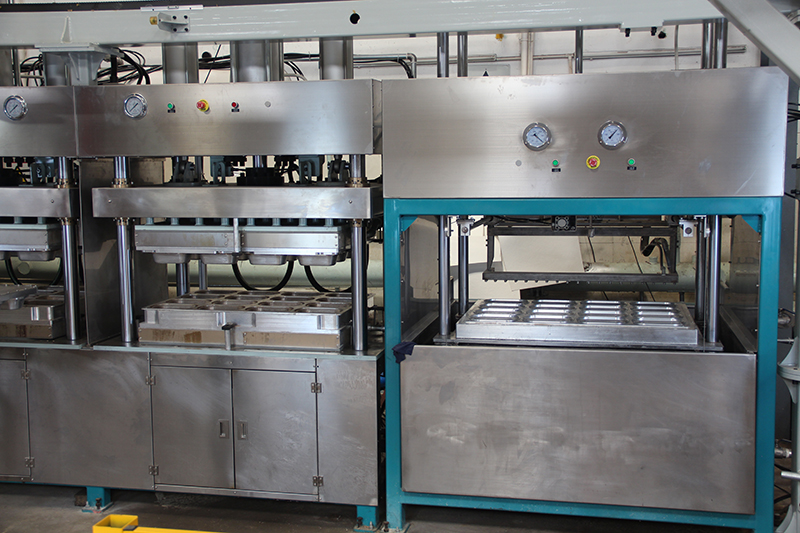 pulp molded biodegradable lunch box machine