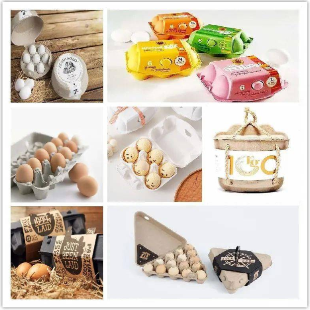 pulp molding packing6