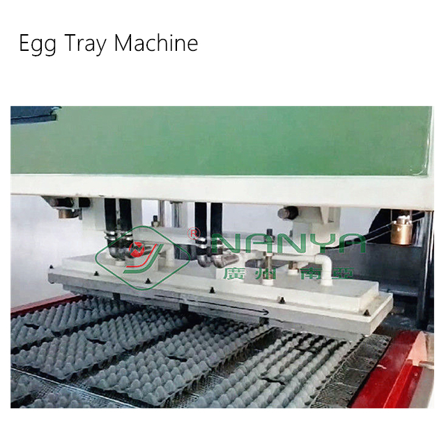 pulp molding paper egg carton machine